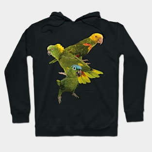 Parrots Hoodie